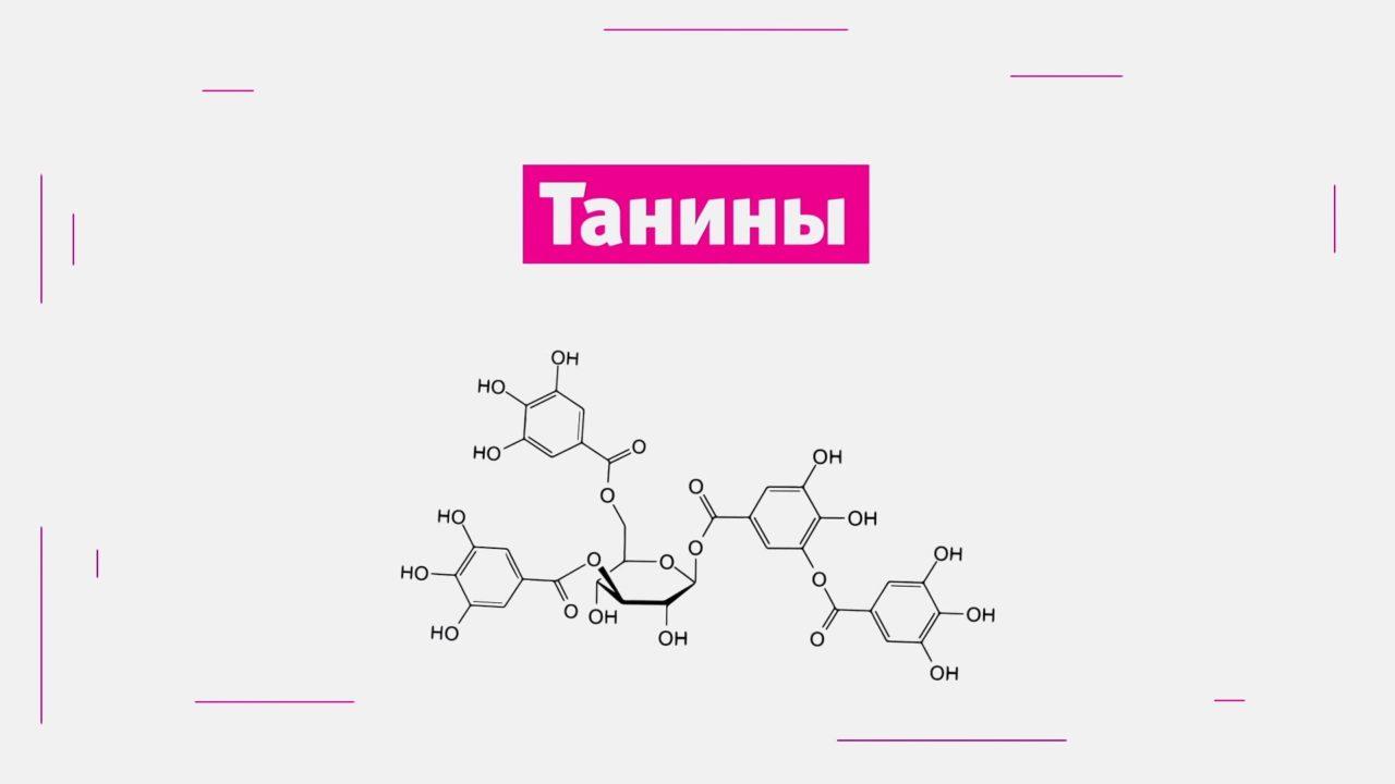 Происхождение танина, который используется для осветления вина и увеличения срока его хранения.