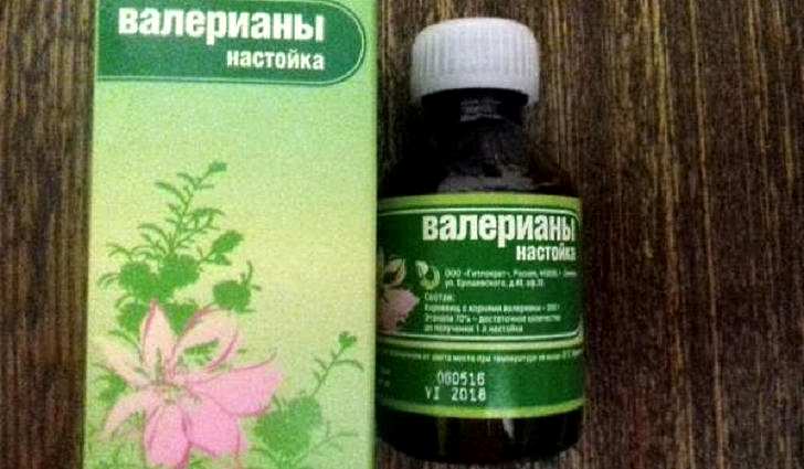 Лечебные свойства валерианы