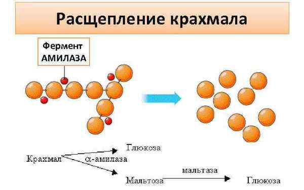 Расщепить сахар