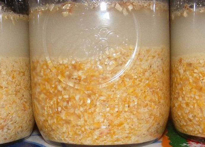 Брага из гороха